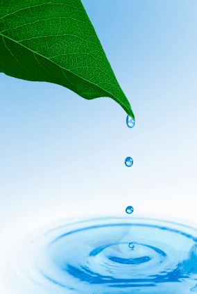 Green Technology